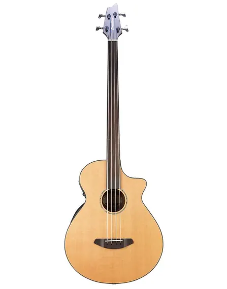 Fretless acoustic bass