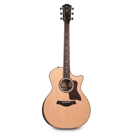 Grand Auditorium acoustic (Taylor 814ce)